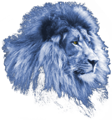 lionheart travel logo